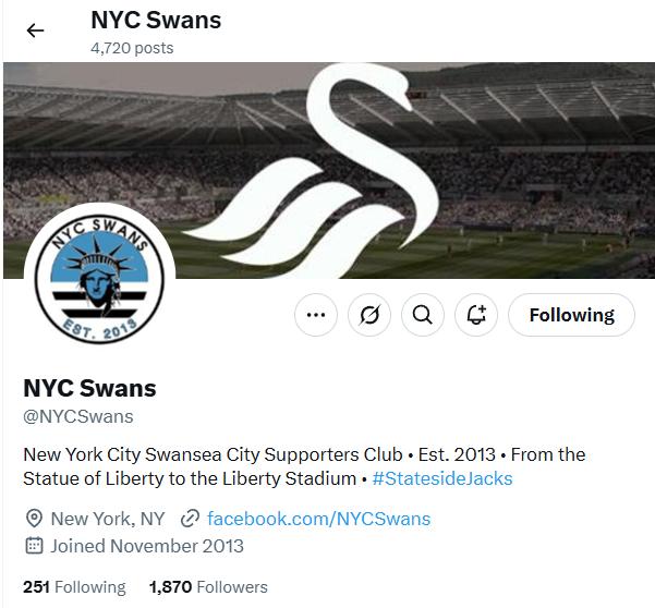 New York City Swans.jpg